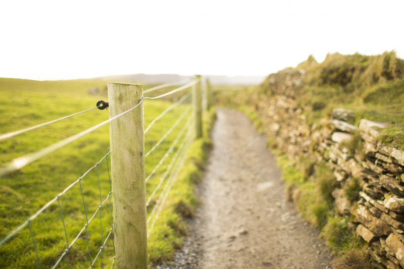 Fence Service