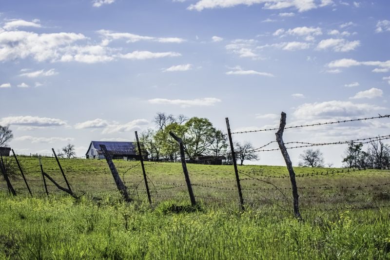 Steel Fence Replacement
